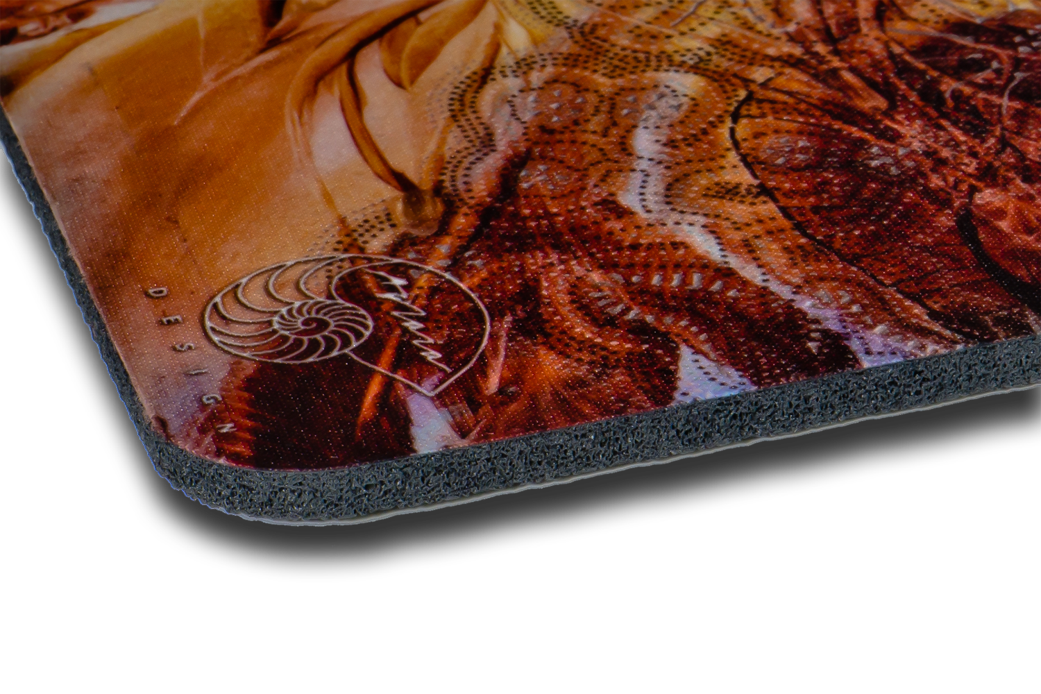 Slunečnice - Obrázek 2