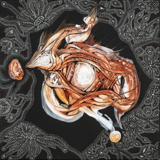 Transformace - kopie určená pro tisk