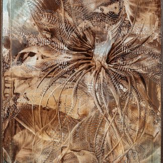 DMT - kopie určená pro tisk